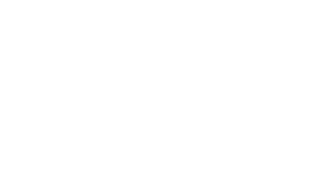 Bright_Bird_weblogo